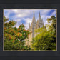 Salt Lake City Temple Autumn Leaves