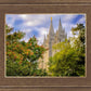 Salt Lake City Temple Autumn Leaves