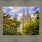 Salt Lake City Temple Autumn Leaves