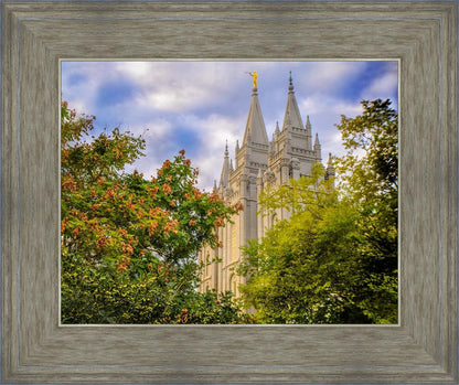 Salt Lake City Temple Autumn Leaves