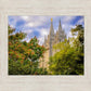 Salt Lake City Temple Autumn Leaves