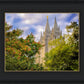 Salt Lake City Temple Autumn Leaves