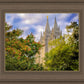 Salt Lake City Temple Autumn Leaves