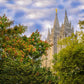 Salt Lake City Temple Autumn Leaves