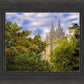 Salt Lake City Temple Autumn Leaves