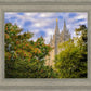 Salt Lake City Temple Autumn Leaves