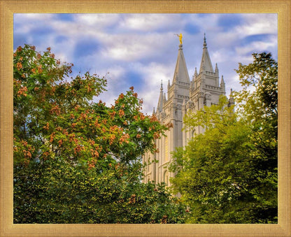 Salt Lake City Temple Autumn Leaves