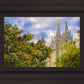 Salt Lake City Temple Autumn Leaves