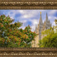 Salt Lake City Temple Autumn Leaves