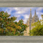 Salt Lake City Temple Autumn Leaves