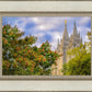 Salt Lake City Temple Autumn Leaves