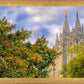 Salt Lake City Temple Autumn Leaves