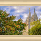 Salt Lake City Temple Autumn Leaves