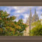 Salt Lake City Temple Autumn Leaves