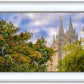 Salt Lake City Temple Autumn Leaves