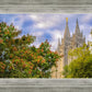 Salt Lake City Temple Autumn Leaves