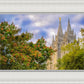 Salt Lake City Temple Autumn Leaves