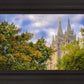 Salt Lake City Temple Autumn Leaves