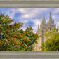 Salt Lake City Temple Autumn Leaves