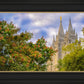 Salt Lake City Temple Autumn Leaves