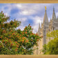 Salt Lake City Temple Autumn Leaves