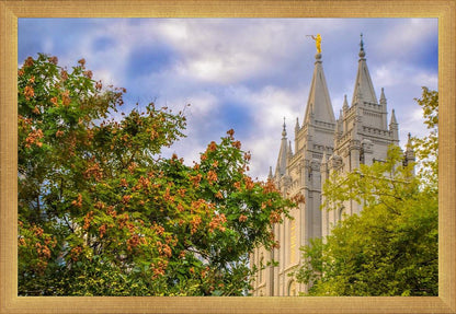 Salt Lake City Temple Autumn Leaves