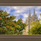 Salt Lake City Temple Autumn Leaves