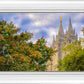 Salt Lake City Temple Autumn Leaves