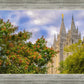 Salt Lake City Temple Autumn Leaves