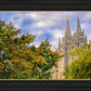 Salt Lake City Temple Autumn Leaves