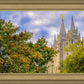 Salt Lake City Temple Autumn Leaves