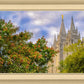 Salt Lake City Temple Autumn Leaves
