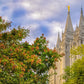 Salt Lake City Temple Autumn Leaves