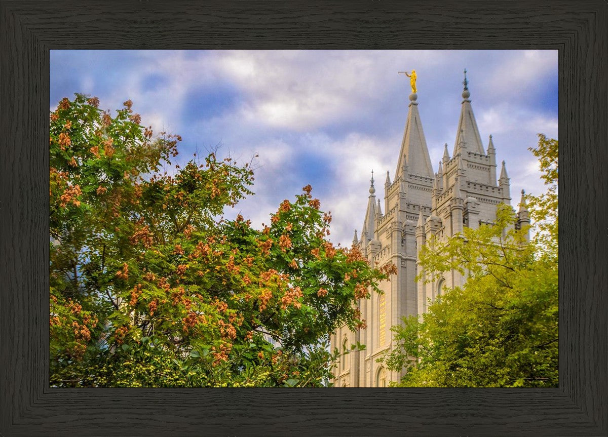 Salt Lake City Temple Autumn Leaves