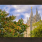 Salt Lake City Temple Autumn Leaves