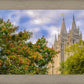 Salt Lake City Temple Autumn Leaves