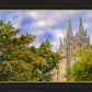 Salt Lake City Temple Autumn Leaves
