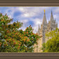 Salt Lake City Temple Autumn Leaves