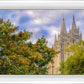 Salt Lake City Temple Autumn Leaves
