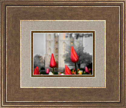 Salt Lake City Temple Beginning Transformation