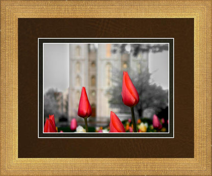 Salt Lake City Temple Beginning Transformation