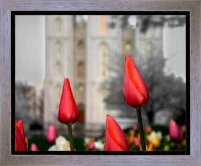 Salt Lake City Temple Beginning Transformation Gallery Wrap