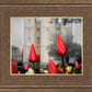 Salt Lake City Temple Beginning Transformation