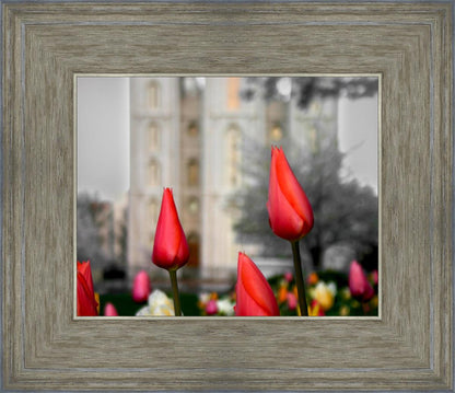 Salt Lake City Temple Beginning Transformation