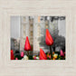 Salt Lake City Temple Beginning Transformation
