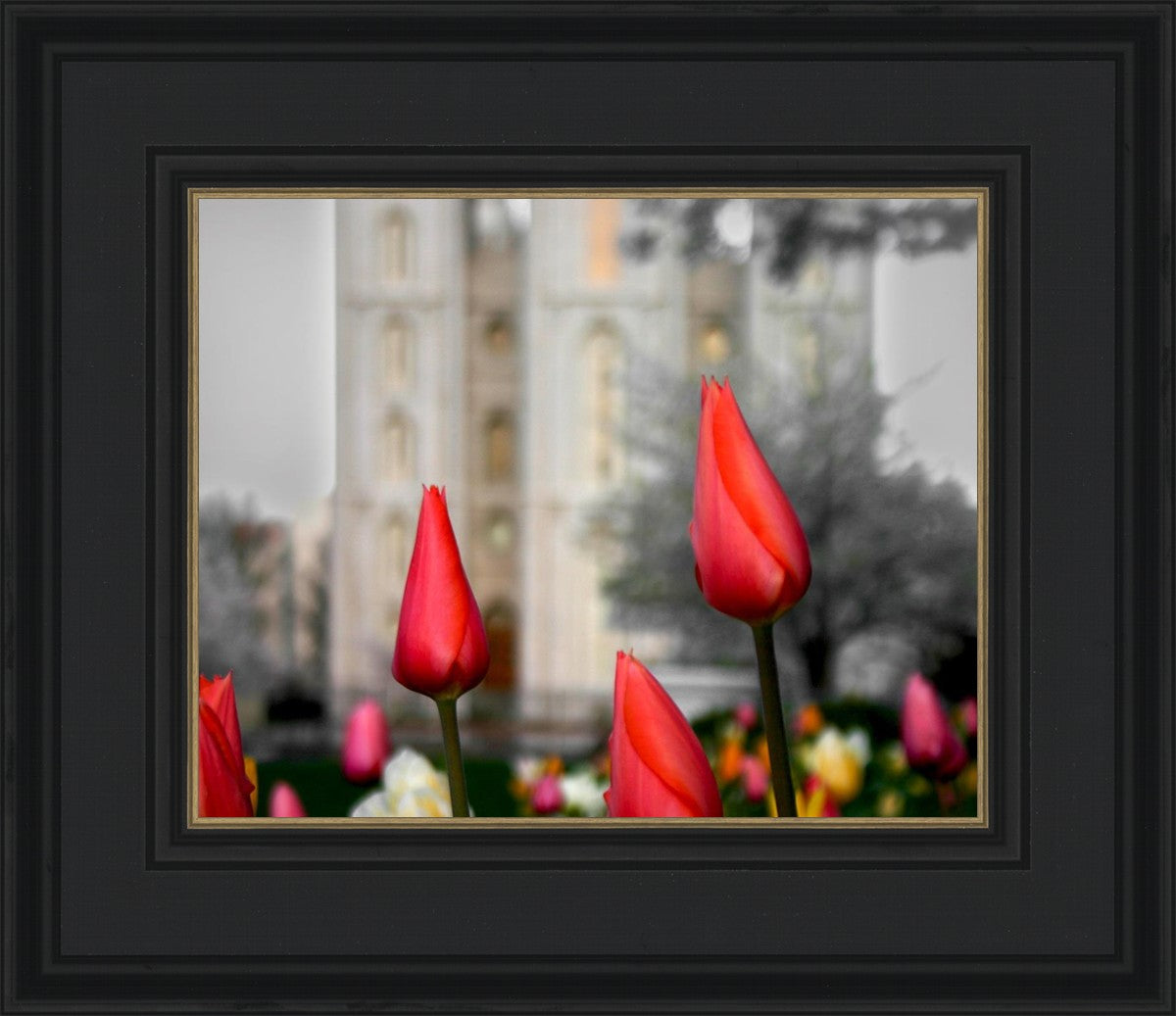Salt Lake City Temple Beginning Transformation