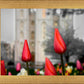 Salt Lake City Temple Beginning Transformation