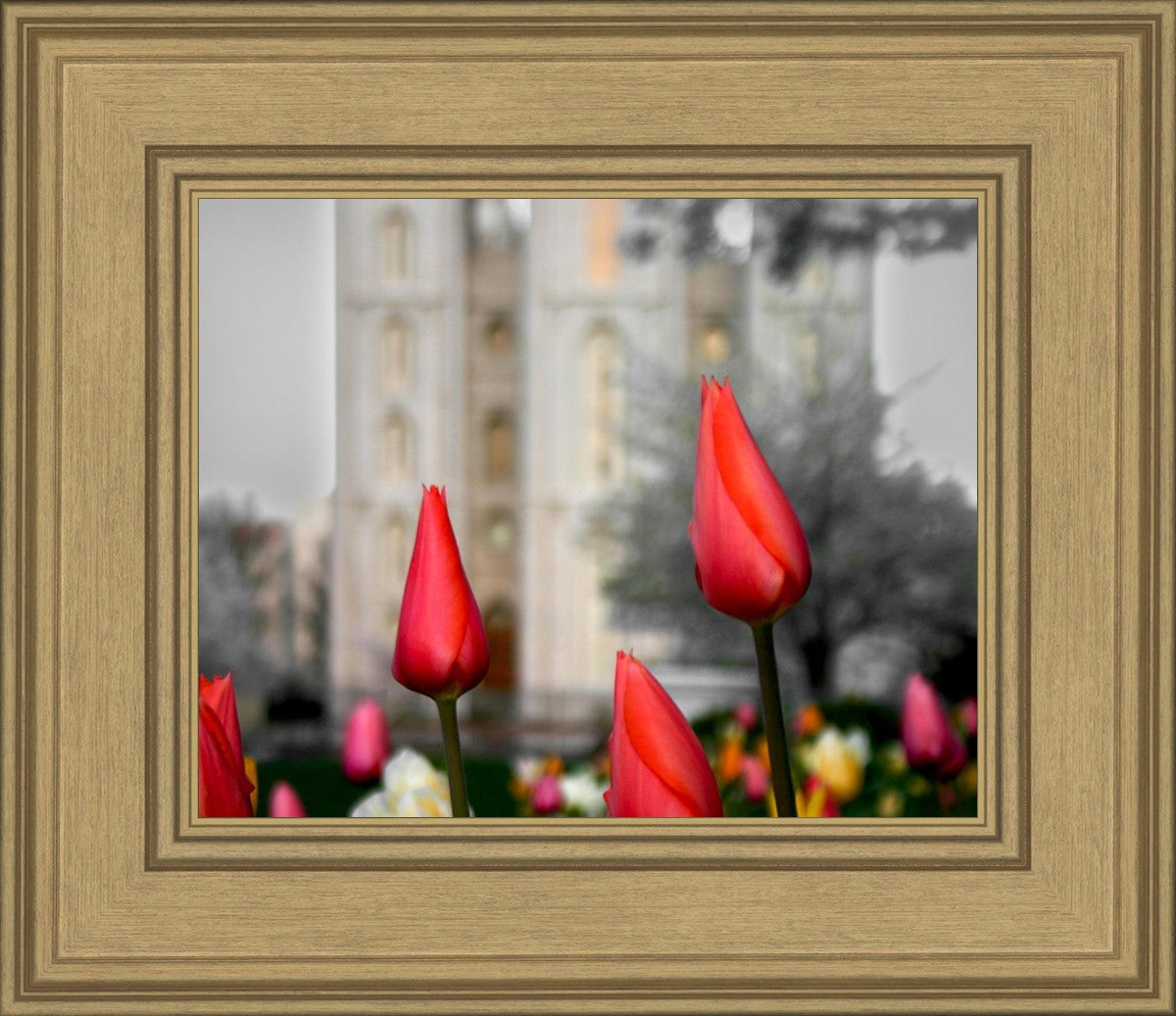Salt Lake City Temple Beginning Transformation