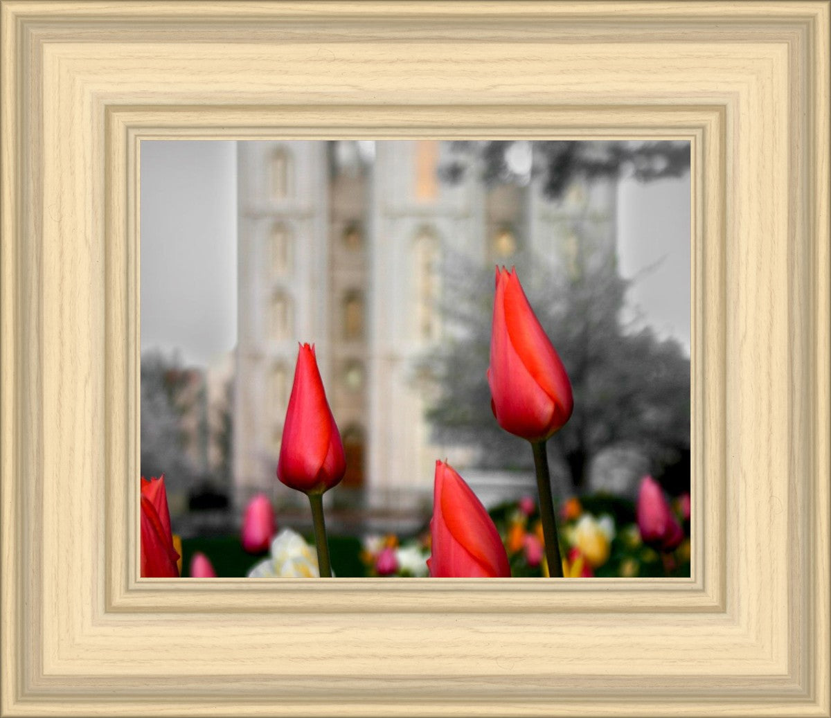 Salt Lake City Temple Beginning Transformation