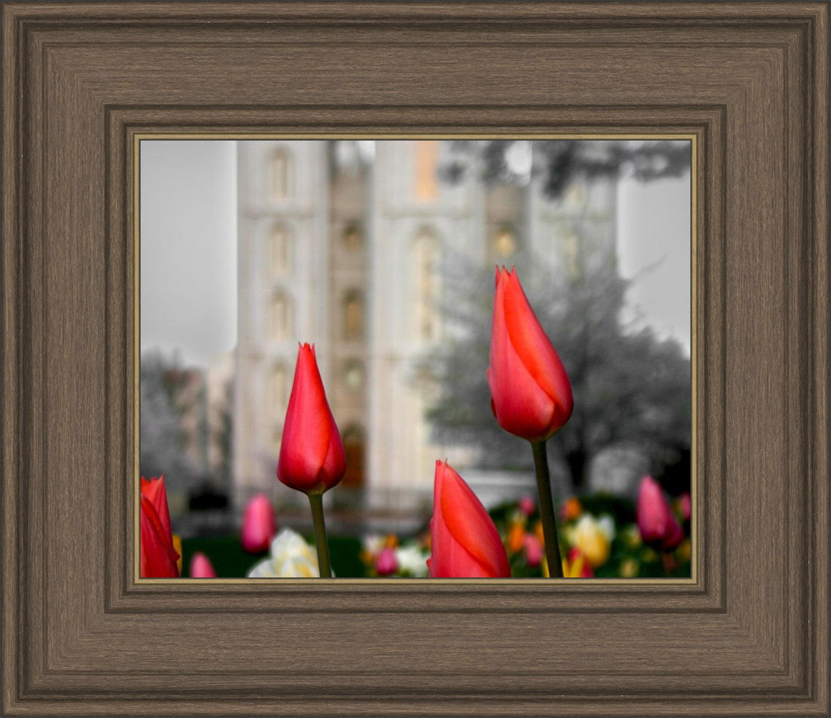 Salt Lake City Temple Beginning Transformation
